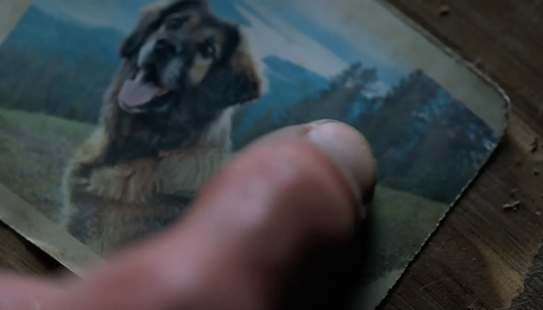 Atmospheric shot of a bearded man with his dog next to a Purina bag.